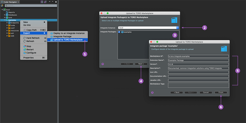 Integarte Packages to TORO Marketplace from Coder Studio